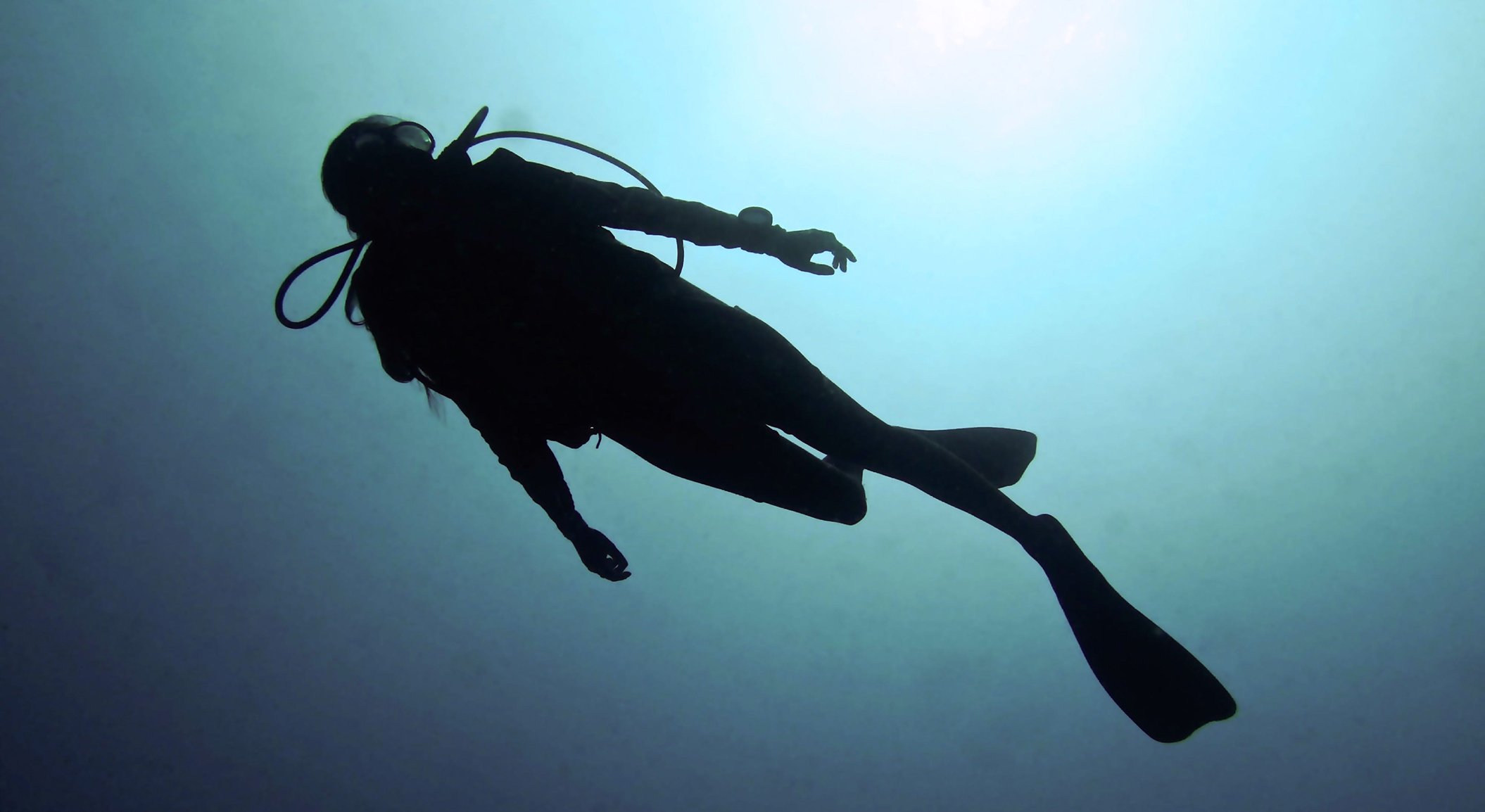 dive in Bali